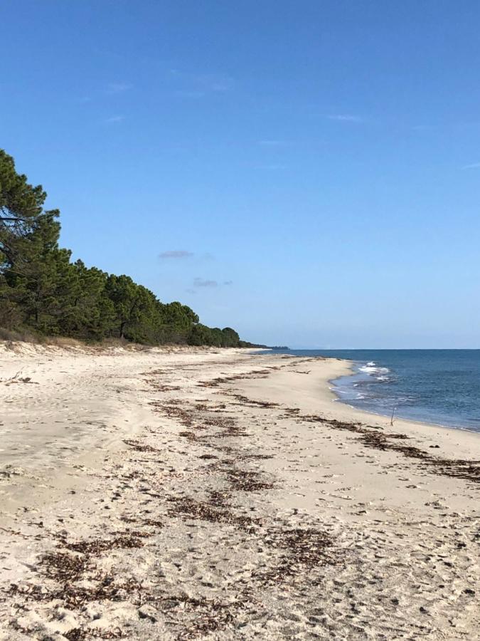 Vila Butia San-Gavino-di-Fiumorbo Exteriér fotografie